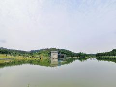 -东莞植物园