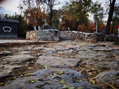 -阳台山自然风景区