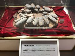 -抱璞文化展示中心