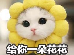 -必胜客(湘隆店)