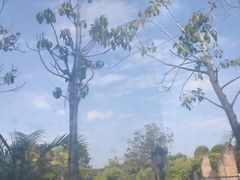-汕头莲花山度假村温泉
