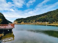 -广州市石门国家森林公园