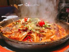 老板恋上鱼-老板恋上鱼(恒隆广场店)