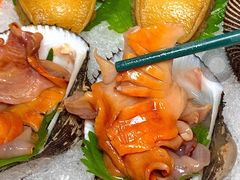象拔蚌刺身拼盘-喜聚薈·花膠雞海鮮火鍋(越秀店)