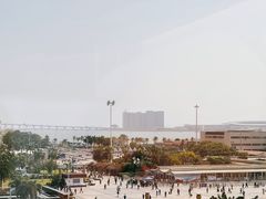 -金苑海鲜酒家(来魅力店)