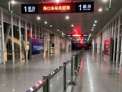 -海口东站