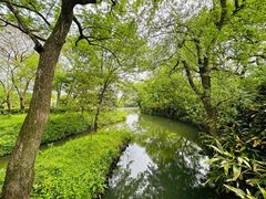 -西溪国家湿地公园