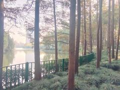 -黄兴公园