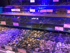 -青蓬蒸汽海鲜·深圳老字号·团建聚会(壹方城店)