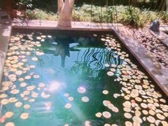 -郑州银基黄帝宫御温泉