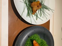 -觀芷隐轩