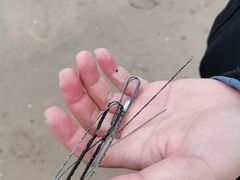 -白城沙滩