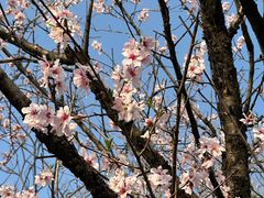 -盘龙城国家考古遗址公园