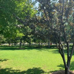 -大望京儿童游乐场