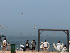 -海驴岛(荣成市)