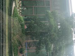 -上海崇明金茂凯悦酒店