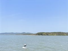 -海底捞火锅(茂业店)