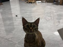 -瑞派康怡24h宠物医院·犬猫医疗中心·微创绝育(瑞景分院)
