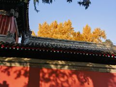 -承恩寺