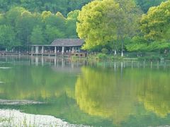 -西湖风景区-江洋畈生态公园