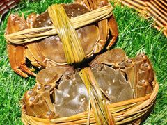 -成隆行·蟹王府(九江路店)