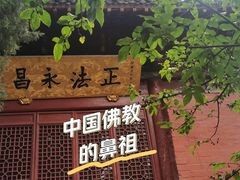 -洛阳白马寺