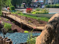 -长春市南湖公园