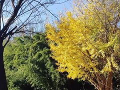 -广州大学(桂花岗校区)