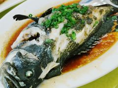 清蒸石斑鱼-双月饭店·20年老字号(新村店)