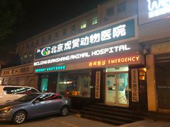 -北京观赏动物医院·24小时大型综合·猫专科·异宠专科