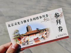-八大处公园