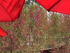 -红辣椒·川菜·火锅(科华路店)