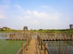 -洋湖国家湿地公园