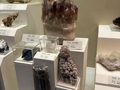 -天津自然博物馆