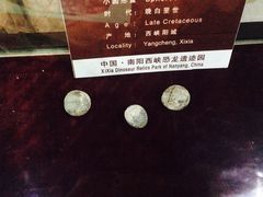 -中国西峡恐龙遗迹园