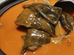 黄焖甲鱼-湘满甲·黄焖甲鱼创始者·湘菜·鲁菜(潘家园店)
