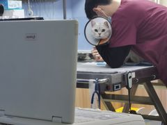 -瑞鹏宠物医院·宠保定点·心脏科·内科(御桥分院)