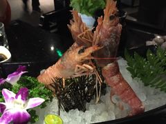 -捞王猪肚鸡火锅(财富中心店)
