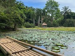 -中国科学院西双版纳热带植物园
