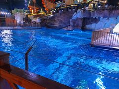 -海合安青岛极地海洋公园