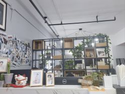-橘子·彩虹摄影(世纪大道店)