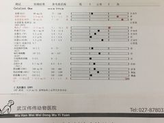 -伟伟宠物医院·瑞派猫友好医院·猫科(光谷店)