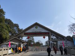 -中国大熊猫保护研究中心雅安碧峰峡基地