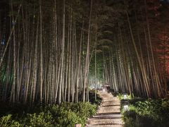 -杭州黄龙洞