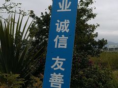 -聚龙山公园