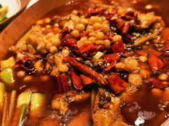 -馋嘴猫北京食堂·烤鸭·宵夜(亚运村店)