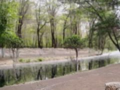 -长白岛森林公园