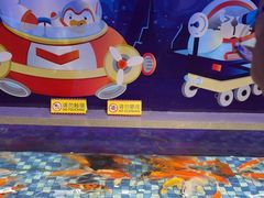 -大连圣亚海洋世界