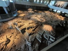 -自贡恐龙博物馆