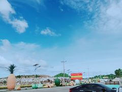 景点-东芭乐园